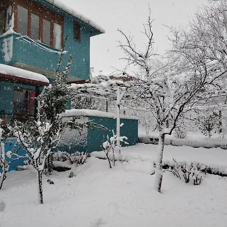Kartepe Kaptan * Masukiye