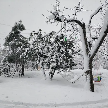 Apartment Kartepe Kaptan
