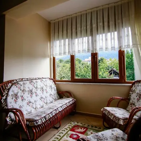 Kartepe Kaptan Apartment Masukiye