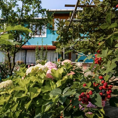 Apartment Kartepe Kaptan *