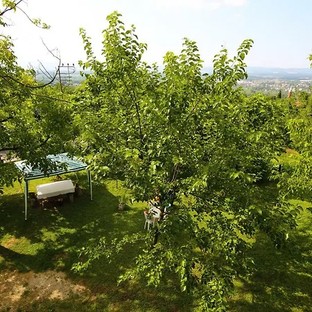 Kartepe Kaptan Masukiye